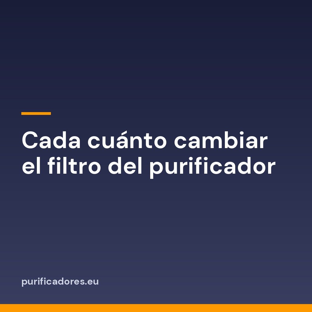 Cada cuánto cambiar el filtro del purificador