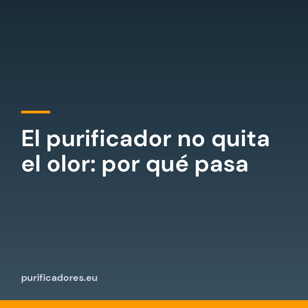 El purificador no quita el olor: por qué pasa
